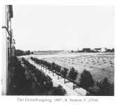 1887_grueneburgweg_800.jpg (53.718 Byte)