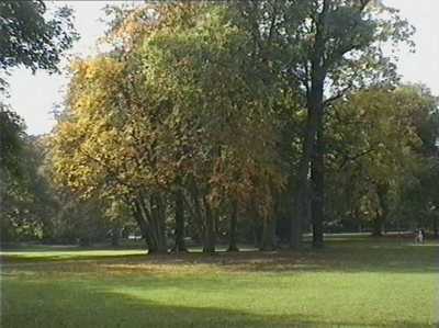 Klick um Fenster zu schliessen!
